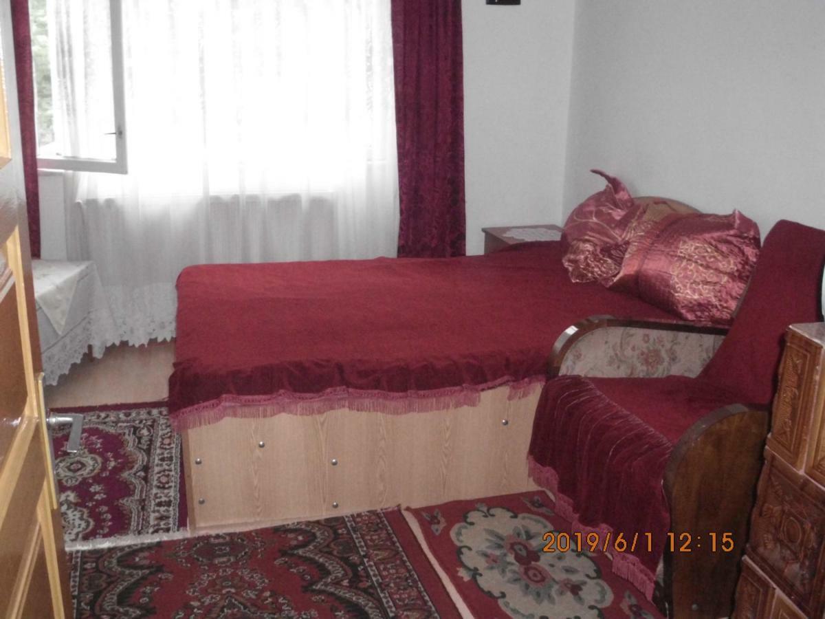 Vila Mihaela Breaza  Ngoại thất bức ảnh