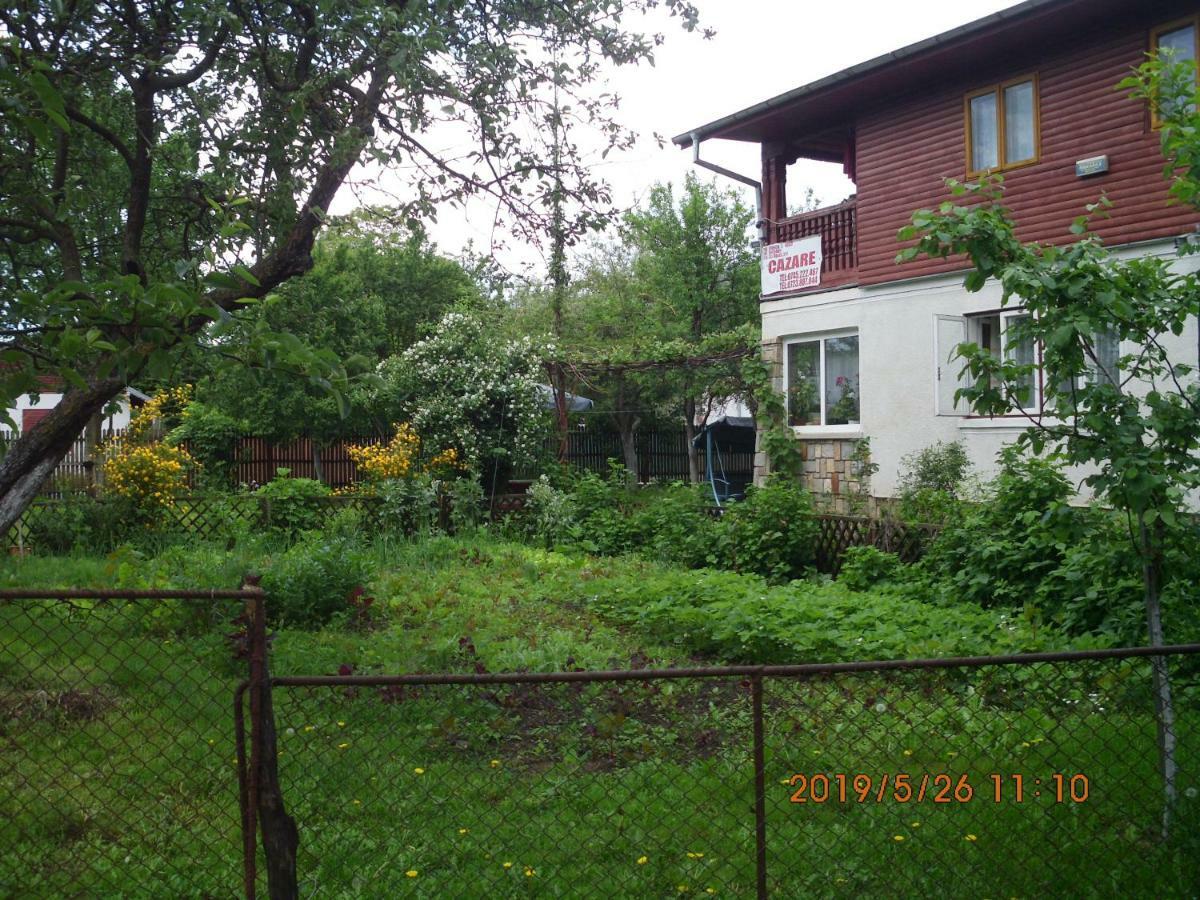 Vila Mihaela Breaza  Ngoại thất bức ảnh