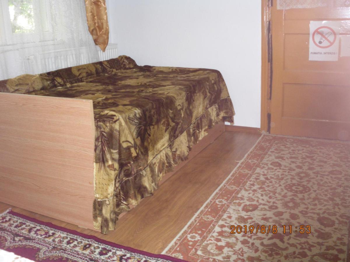 Vila Mihaela Breaza  Ngoại thất bức ảnh